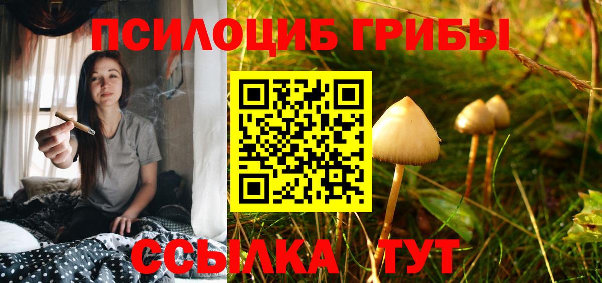 Псилоцибиновые грибы Cubensis  Вход с VPN  Кострома 